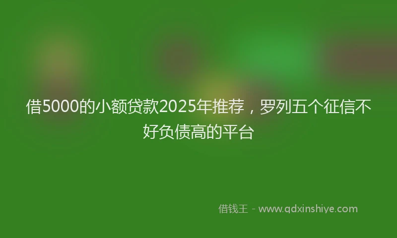 借5000的小额贷款2025年推荐，罗列五个征信不好负债高的平台