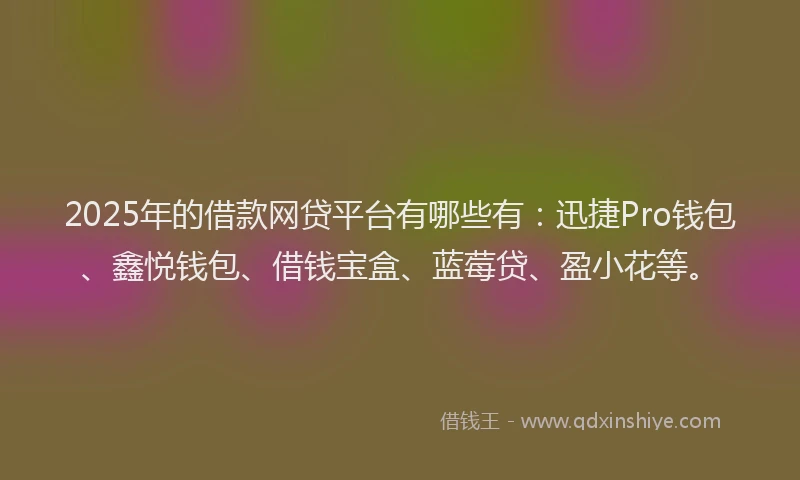 2025年的借款网贷平台有哪些有：迅捷Pro钱包、鑫悦钱包、借钱宝盒、蓝莓贷、盈小花等。