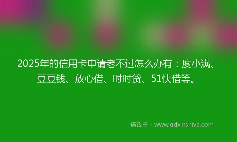 2025年的信用卡申请老不过怎么办有：度小满、豆豆钱、放心借、时时贷、51快借等。