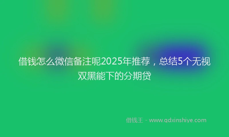 借钱怎么微信备注呢2025年推荐，总结5个无视双黑能下的分期贷