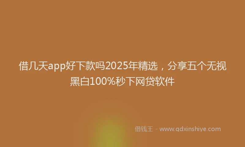 借几天app好下款吗2025年精选，分享五个无视黑白100%秒下网贷软件