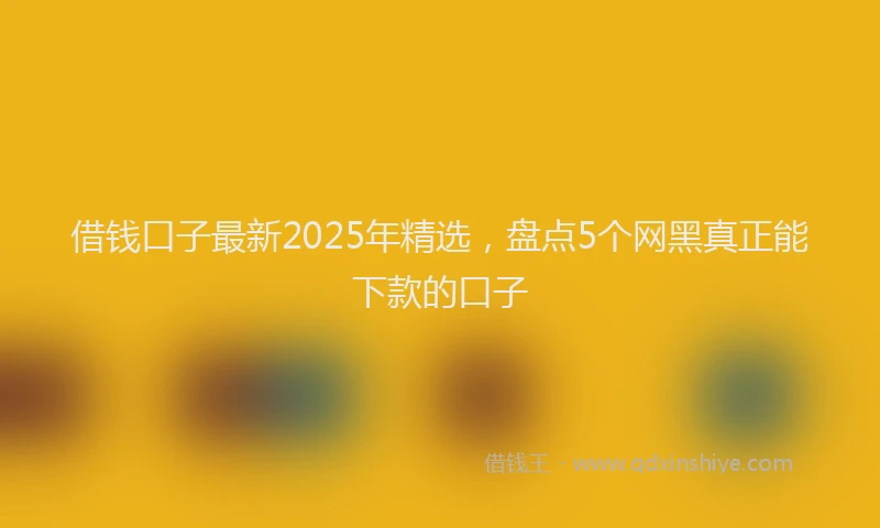 借钱口子最新2025年精选，盘点5个网黑真正能下款的口子