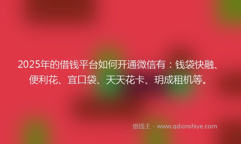 2025年的借钱平台如何开通微信有：钱袋快融、便利花、宜口袋、天天花卡、玥成租机等。