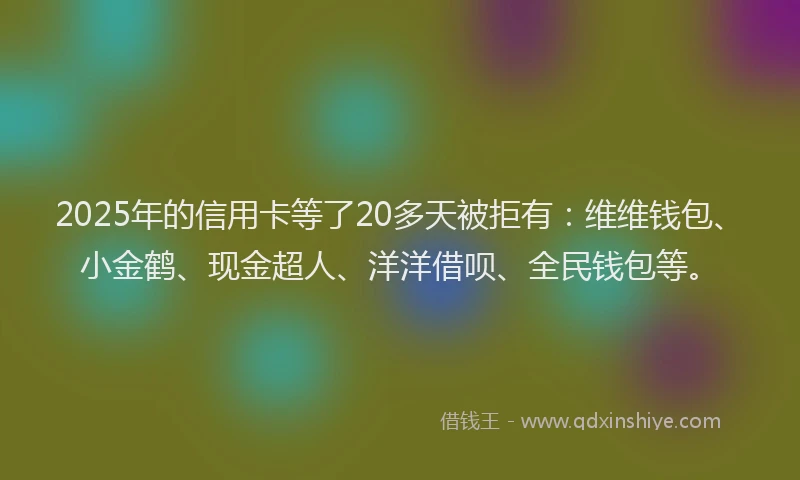 2025年的信用卡等了20多天被拒有：维维钱包、小金鹤、现金超人、洋洋借呗、全民钱包等。