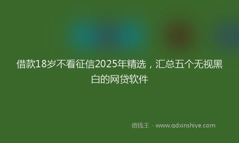 借款18岁不看征信2025年精选，汇总五个无视黑白的网贷软件