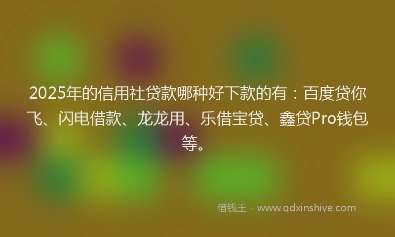 2025年的信用社贷款哪种好下款的有：百度贷你飞、闪电借款、龙龙用、乐借宝贷、鑫贷Pro钱包等。