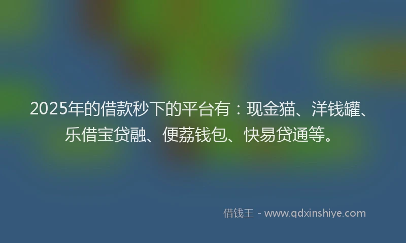 2025年的借款秒下的平台有：现金猫、洋钱罐、乐借宝贷融、便荔钱包、快易贷通等。