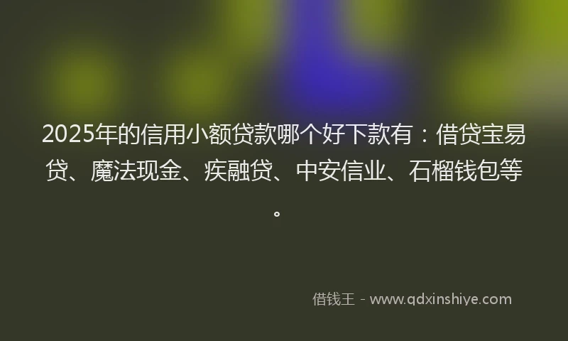 2025年的信用小额贷款哪个好下款有：借贷宝易贷、魔法现金、疾融贷、中安信业、石榴钱包等。