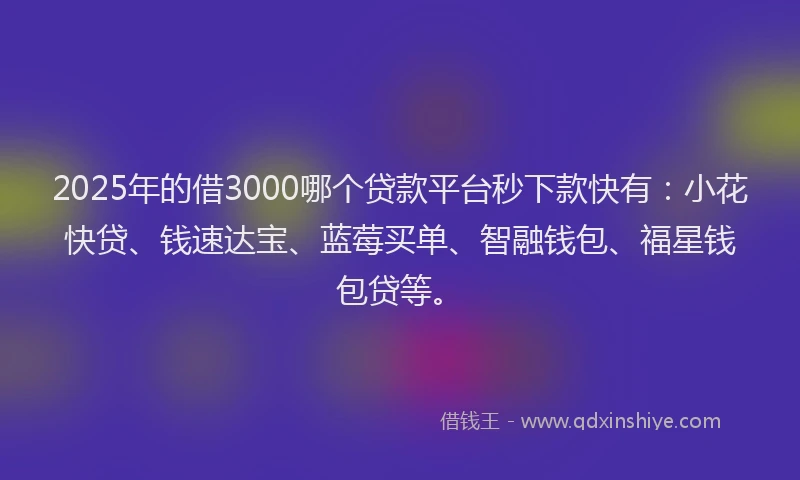 2025年的借3000哪个贷款平台秒下款快有：小花快贷、钱速达宝、蓝莓买单、智融钱包、福星钱包贷等。