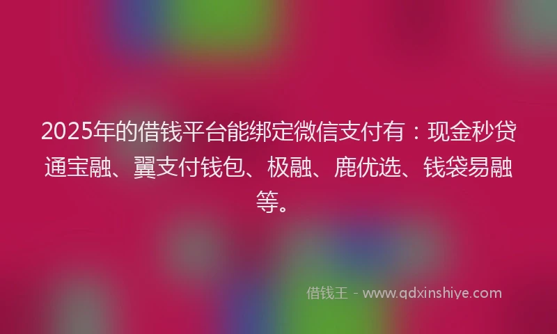 2025年的借钱平台能绑定微信支付有:现金秒贷通宝融、翼支付钱包、极融、鹿优选、钱袋易融等。