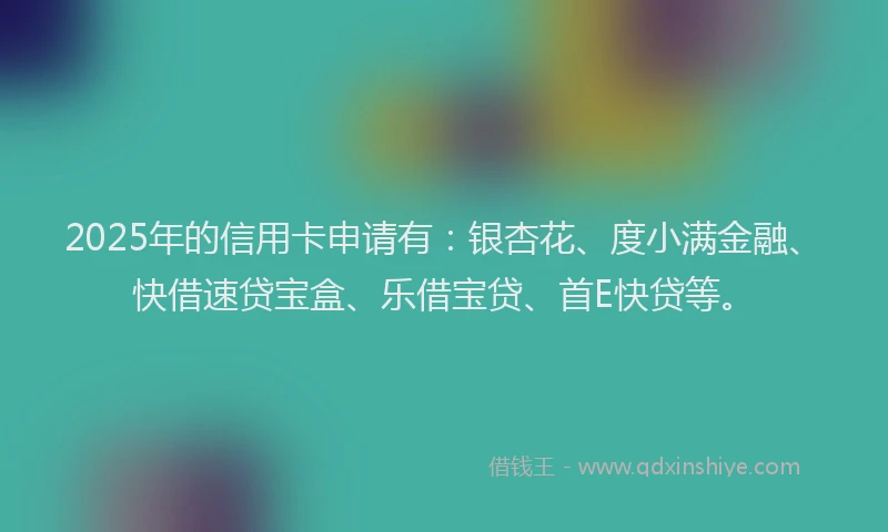 2025年的信用卡申请有：银杏花、度小满金融、快借速贷宝盒、乐借宝贷、首E快贷等。