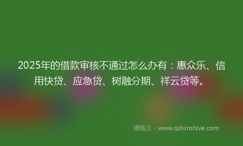 2025年的借款审核不通过怎么办有：惠众乐、信用快贷、应急贷、树融分期、祥云贷等。