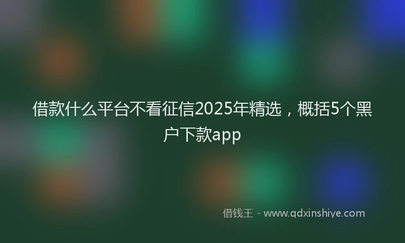 借款什么平台不看征信2025年精选，概括5个黑户下款app