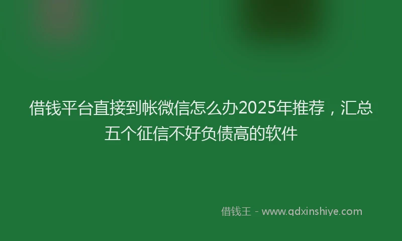 借钱平台直接到帐微信怎么办2025年推荐，汇总五个征信不好负债高的软件