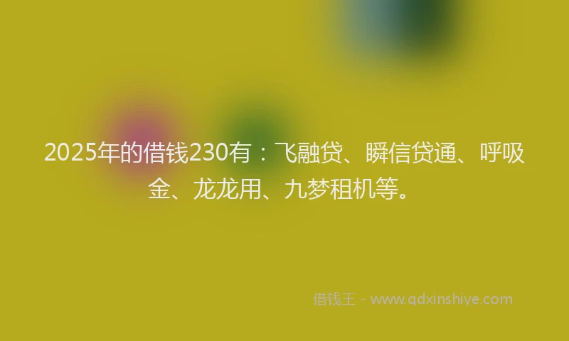 2025年的借钱230有：飞融贷、瞬信贷通、呼吸金、龙龙用、九梦租机等。