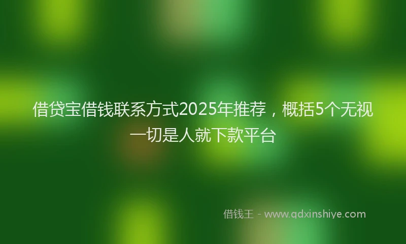 借贷宝借钱联系方式2025年推荐，概括5个无视一切是人就下款平台