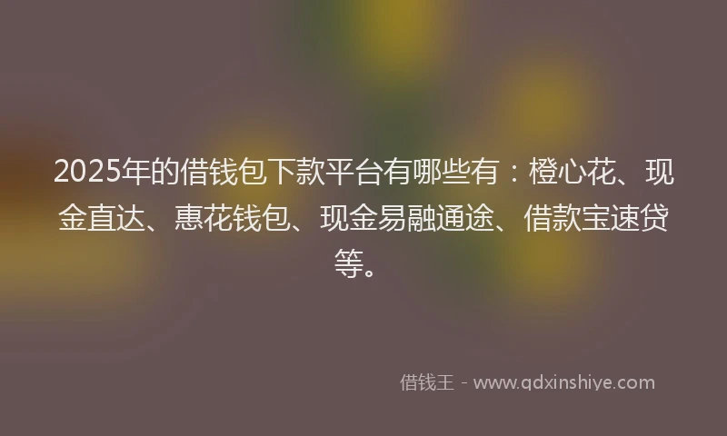 2025年的借钱包下款平台有哪些有：橙心花、现金直达、惠花钱包、现金易融通途、借款宝速贷等。