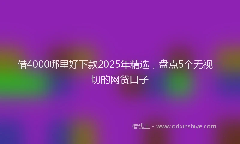 借4000哪里好下款2025年精选，盘点5个无视一切的网贷口子