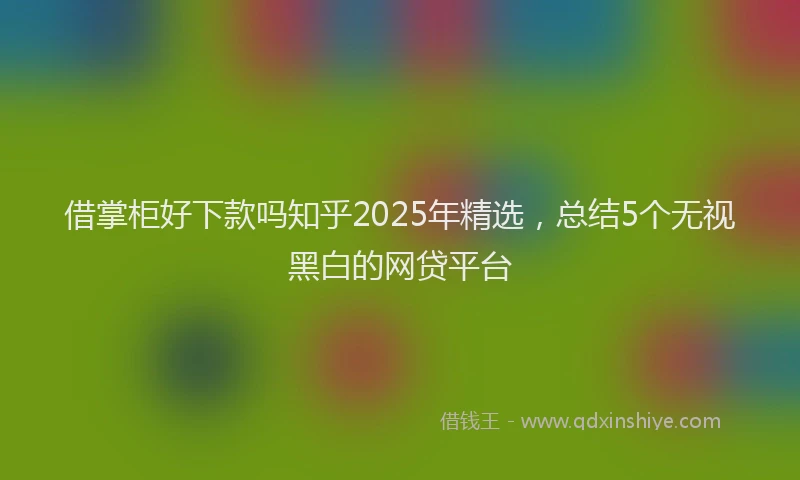 借掌柜好下款吗知乎2025年精选,总结5个无视黑白的网贷平台