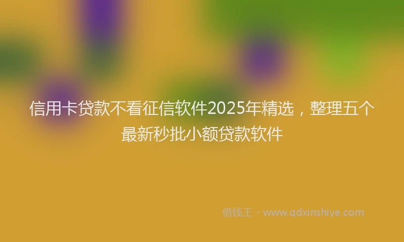 信用卡贷款不看征信软件2025年精选，整理五个最新秒批小额贷款软件
