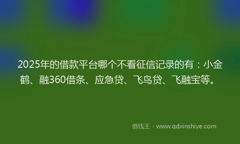 2025年的借款平台哪个不看征信记录的有：小金鹤、融360借条、应急贷、飞鸟贷、飞融宝等。