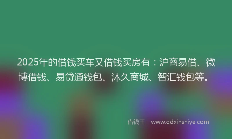 2025年的借钱买车又借钱买房有:沪商易借、微博借钱、易贷通钱包、沐久商城、智汇钱包等。