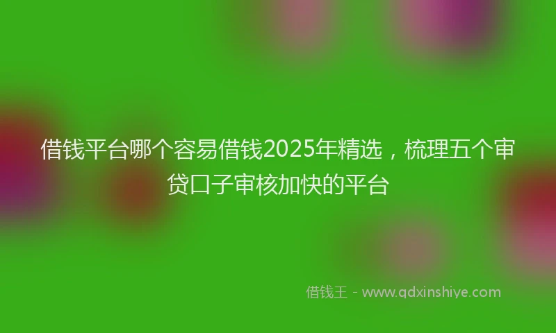 借钱平台哪个容易借钱2025年精选,梳理五个审贷口子审核加快的平台