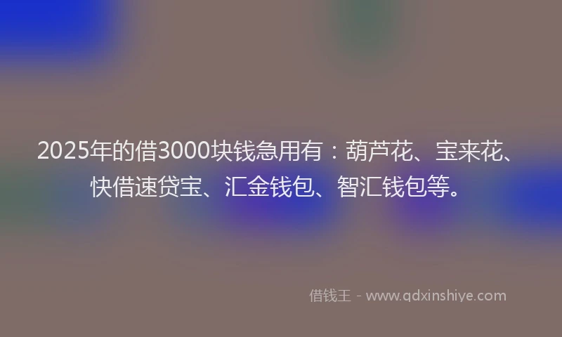 2025年的借3000块钱急用有：葫芦花、宝来花、快借速贷宝、汇金钱包、智汇钱包等。