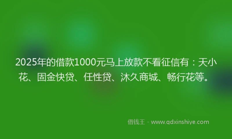 2025年的借款1000元马上放款不看征信有：天小花、固金快贷、任性贷、沐久商城、畅行花等。