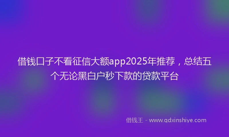 借钱口子不看征信大额app2025年推荐，总结五个无论黑白户秒下款的贷款平台