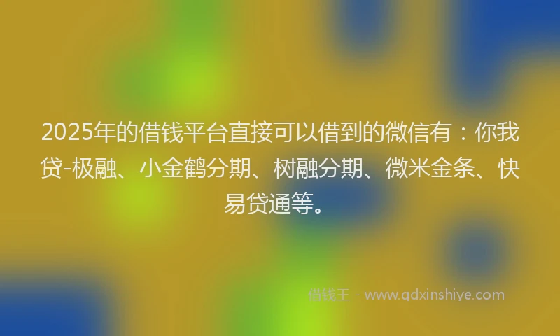 2025年的借钱平台直接可以借到的微信有：你我贷-极融、小金鹤分期、树融分期、微米金条、快易贷通等。