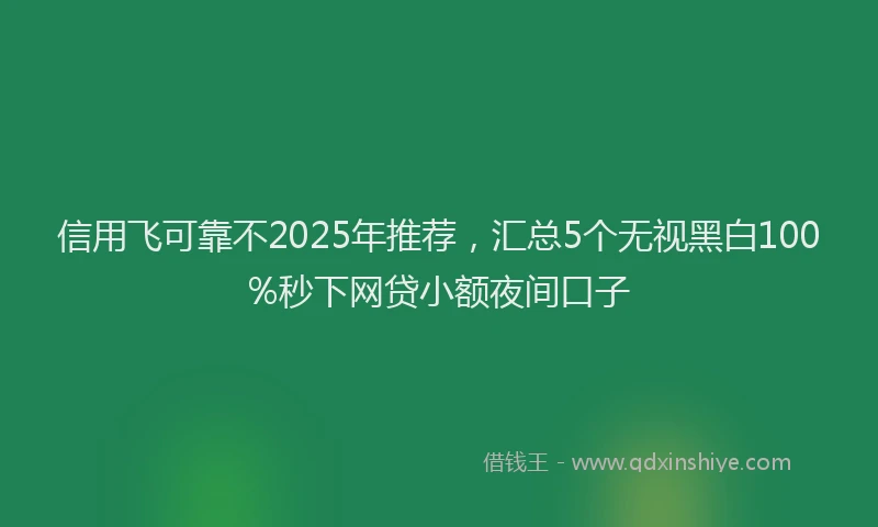 信用飞可靠不2025年推荐,汇总5个无视黑白100%秒下网贷小额夜间口子