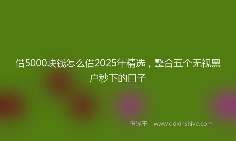 借5000块钱怎么借2025年精选，整合五个无视黑户秒下的口子