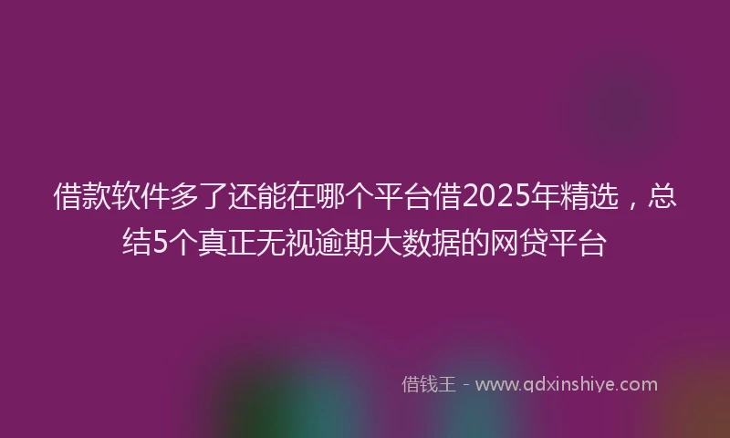 借款软件多了还能在哪个平台借2025年精选，总结5个真正无视逾期大数据的网贷平台