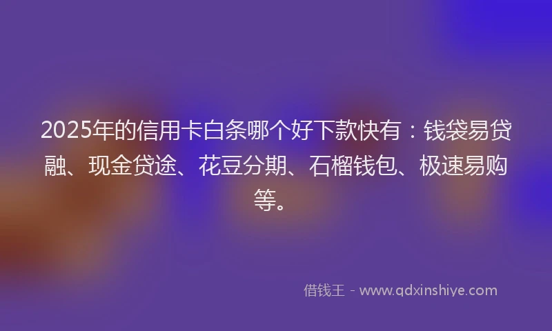 2025年的信用卡白条哪个好下款快有：钱袋易贷融、现金贷途、花豆分期、石榴钱包、极速易购等。