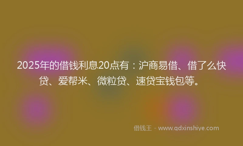 2025年的借钱利息20点有：沪商易借、借了么快贷、爱帮米、微粒贷、速贷宝钱包等。