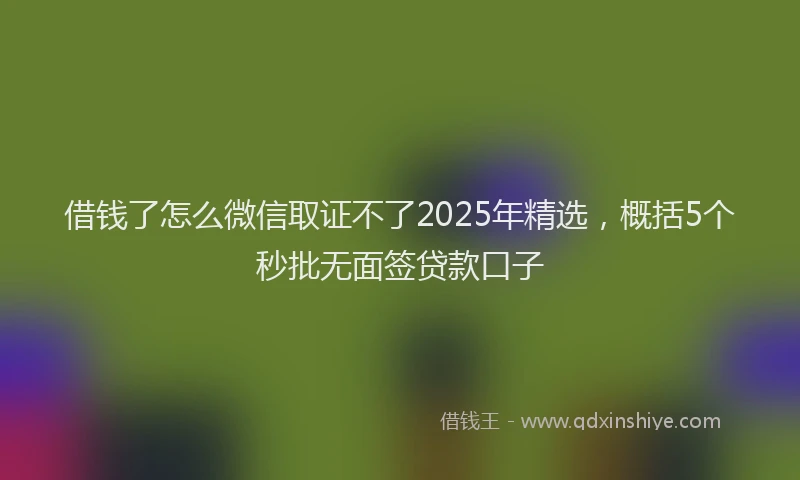 借钱了怎么微信取证不了2025年精选，概括5个秒批无面签贷款口子