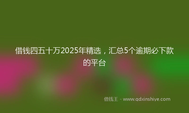 借钱四五十万2025年精选，汇总5个逾期必下款的平台
