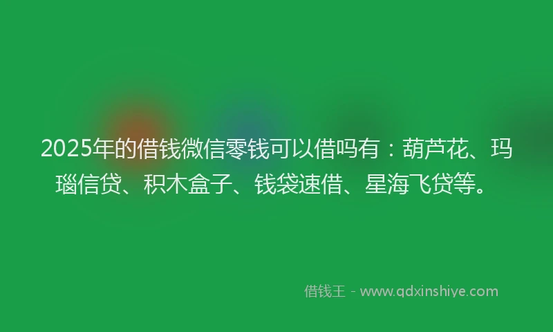 2025年的借钱微信零钱可以借吗有：葫芦花、玛瑙信贷、积木盒子、钱袋速借、星海飞贷等。