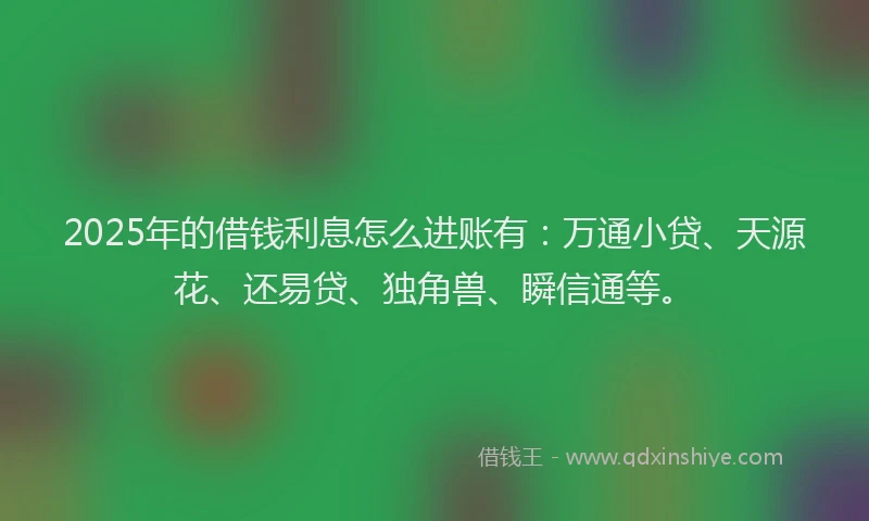 2025年的借钱利息怎么进账有：万通小贷、天源花、还易贷、独角兽、瞬信通等。