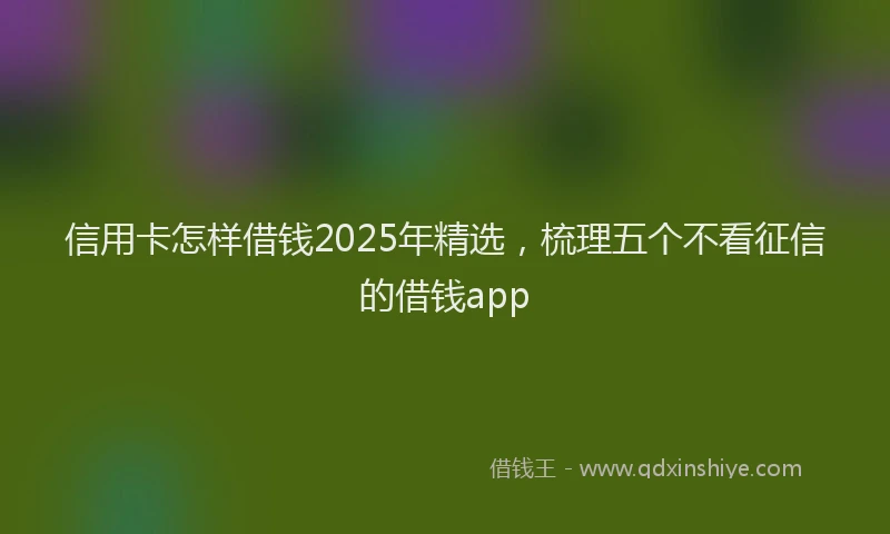 信用卡怎样借钱2025年精选，梳理五个不看征信的借钱app