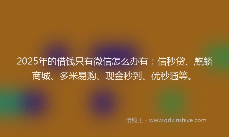 2025年的借钱只有微信怎么办有：信秒贷、麒麟商城、多米易购、现金秒到、优秒通等。