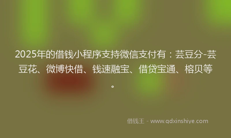 2025年的借钱小程序支持微信支付有：芸豆分-芸豆花、微博快借、钱速融宝、借贷宝通、榕贝等。