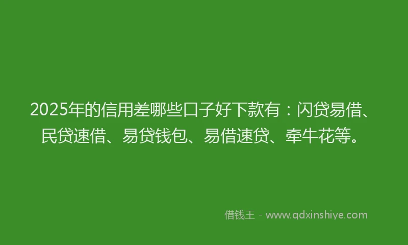 2025年的信用差哪些口子好下款有：闪贷易借、民贷速借、易贷钱包、易借速贷、牵牛花等。