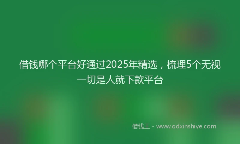借钱哪个平台好通过2025年精选，梳理5个无视一切是人就下款平台