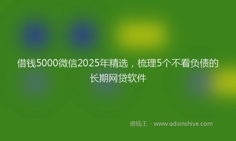 借钱5000微信2025年精选，梳理5个不看负债的长期网贷软件