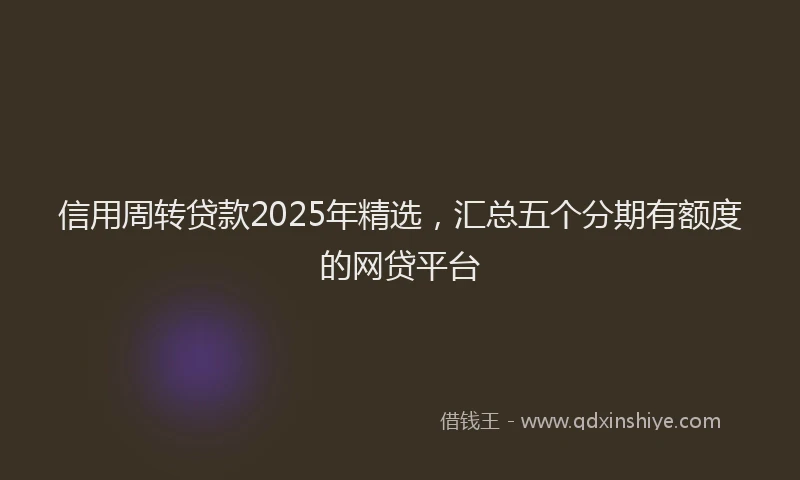 信用周转贷款2025年精选，汇总五个分期有额度的网贷平台