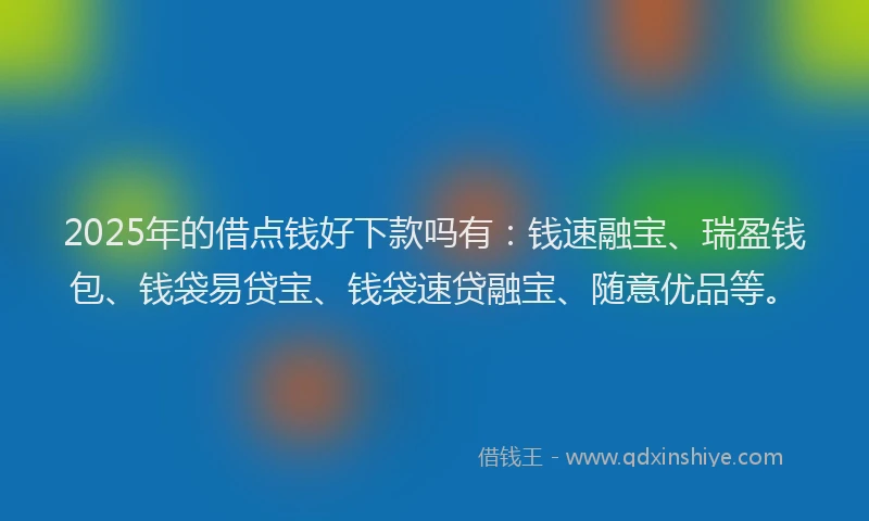 2025年的借点钱好下款吗有：钱速融宝、瑞盈钱包、钱袋易贷宝、钱袋速贷融宝、随意优品等。