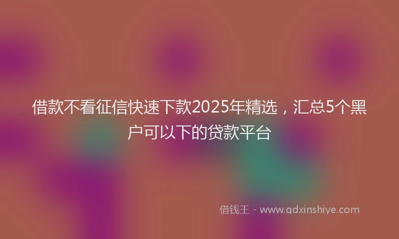 借款不看征信快速下款2025年精选，汇总5个黑户可以下的贷款平台