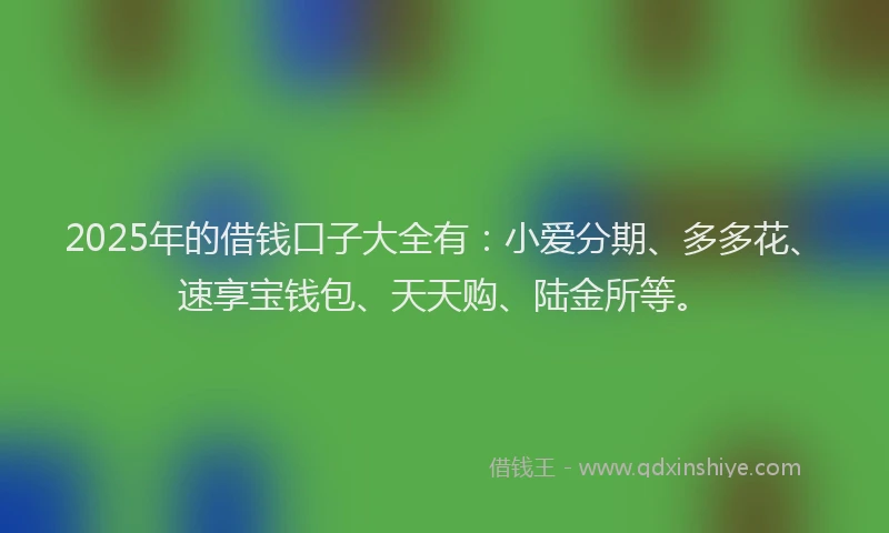 2025年的借钱口子大全有：小爱分期、多多花、速享宝钱包、天天购、陆金所等。